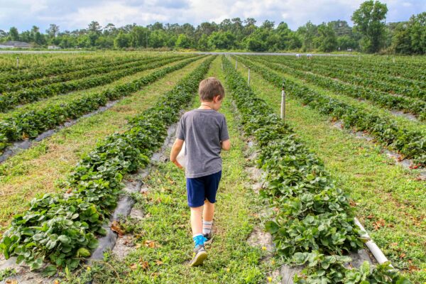 mick-haupt-ZRKSMmcKQUM-unsplash